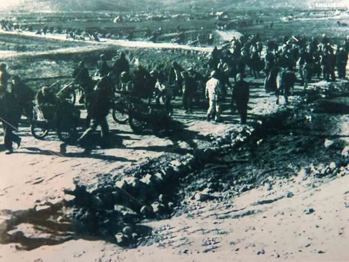 平(平頂山)舞(舞陽)會戰 平(平頂山)舞(舞陽)會戰